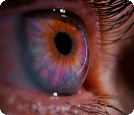 This image shows a zoom detail of an eye representing the possibility you have here on seeing the Great Warning trailer.